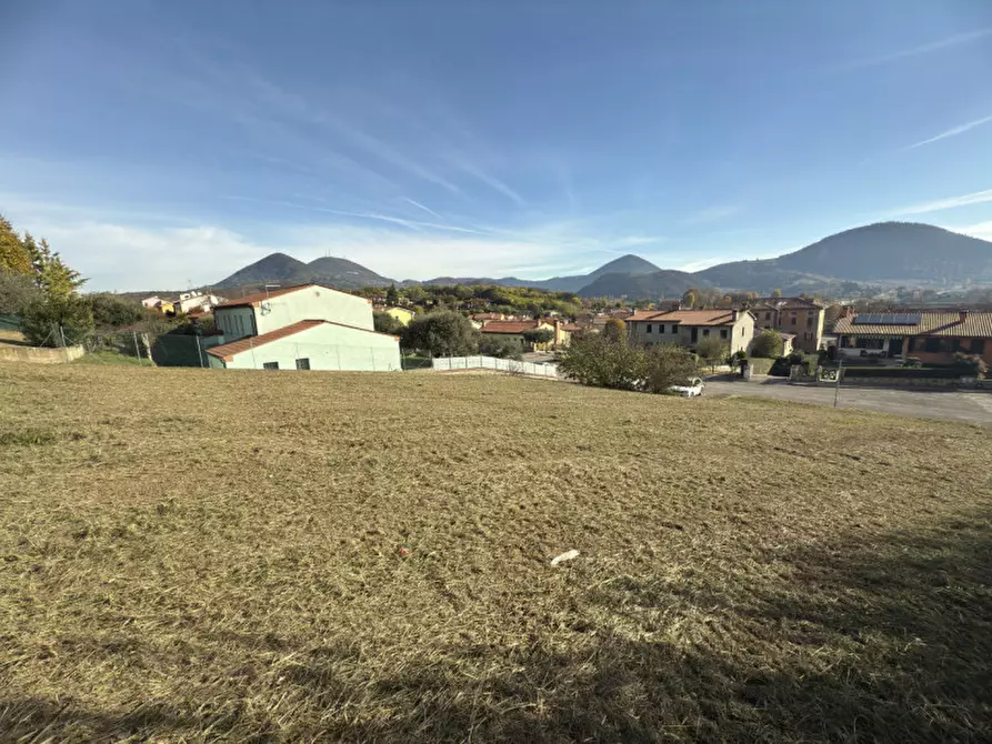 Immagine 1 di Terreno in vendita  in Via DELLEGINESTRE a Lozzo Atestino