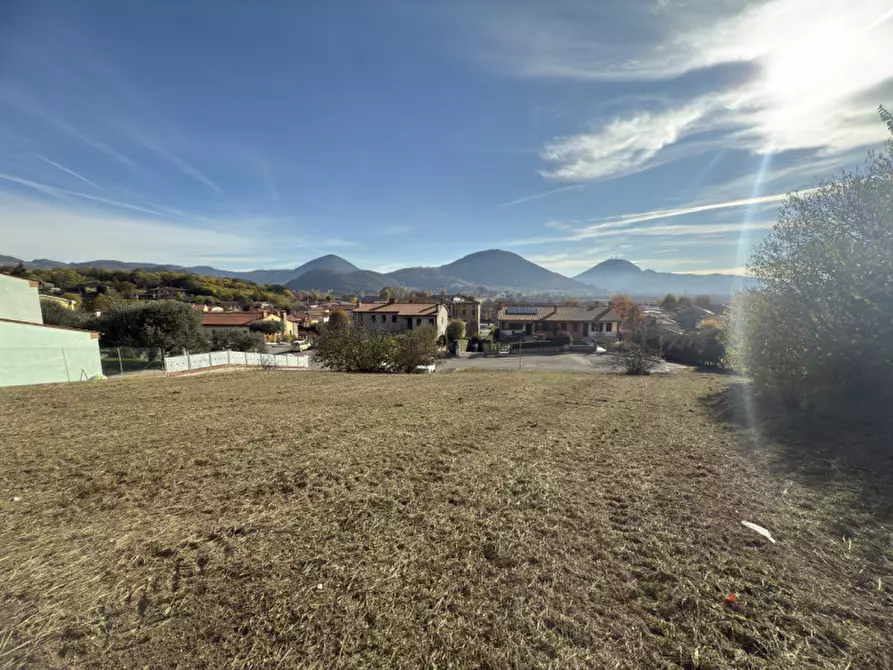 Immagine 2 di Terreno in vendita  in Via DELLEGINESTRE a Lozzo Atestino