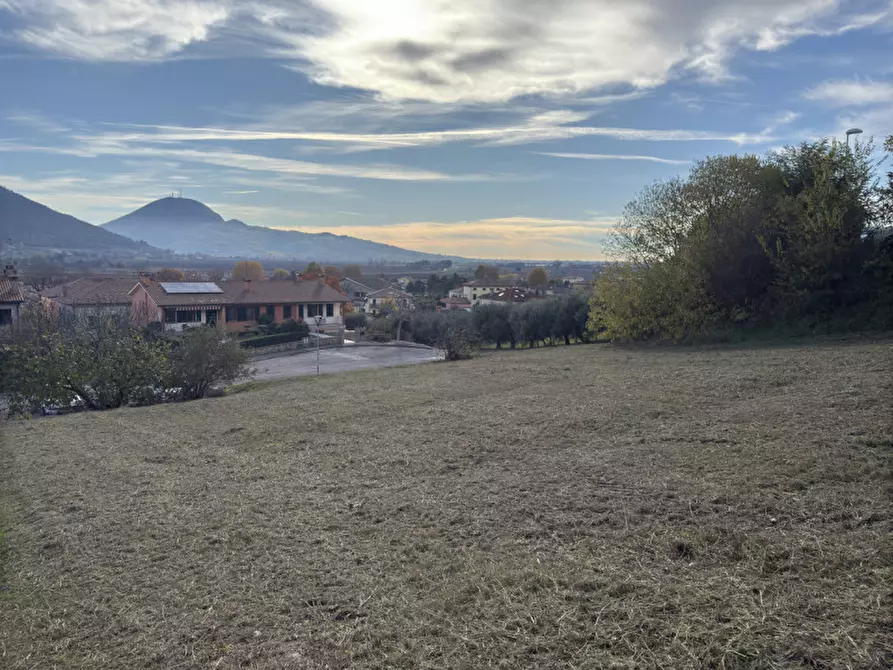 Immagine 3 di Terreno in vendita  in Via DELLEGINESTRE a Lozzo Atestino