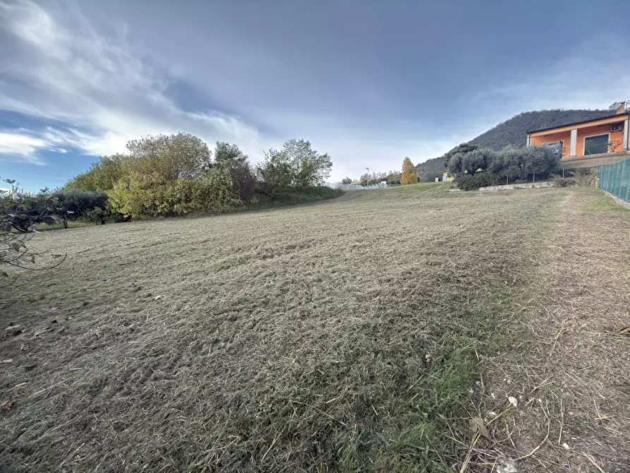 Immagine 4 di Terreno in vendita  in Via DELLEGINESTRE a Lozzo Atestino