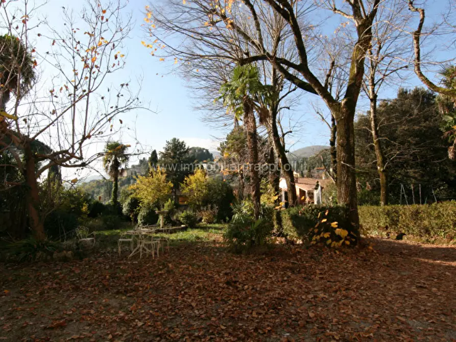 Immagine 20 di Palazzo in vendita  a Cetona