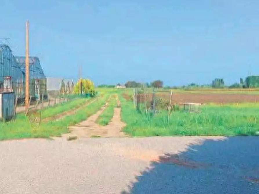 Immagine 3 di Terreno in vendita  in Via San Giuseppe a Chioggia