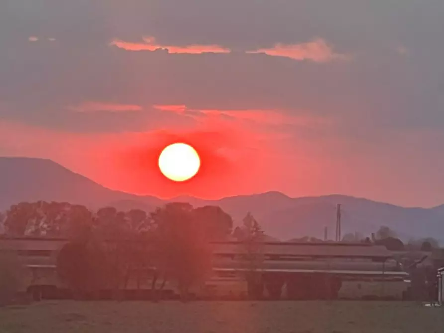 Immagine 1 di Terreno in vendita  in Via Brusadure 6 a Polverara