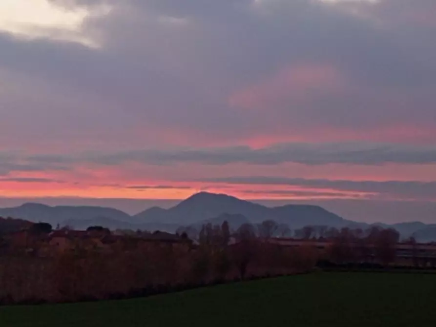 Immagine 2 di Terreno in vendita  in Via Brusadure 6 a Polverara
