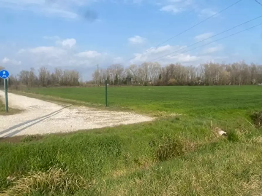 Immagine 3 di Terreno in vendita  in Via san Michele Vecchio a Quarto D'altino