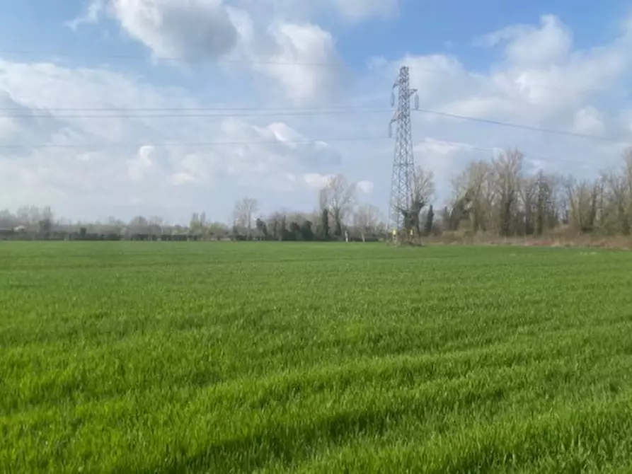 Immagine 4 di Terreno in vendita  in Via san Michele Vecchio a Quarto D'altino
