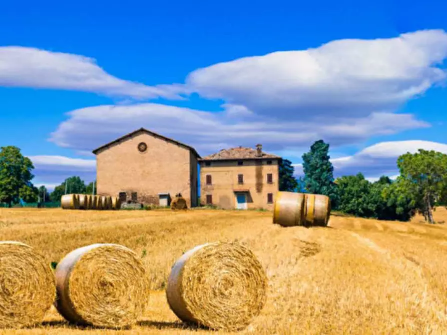 Immagine 1 di Casa indipendente in vendita  a Castagnaro