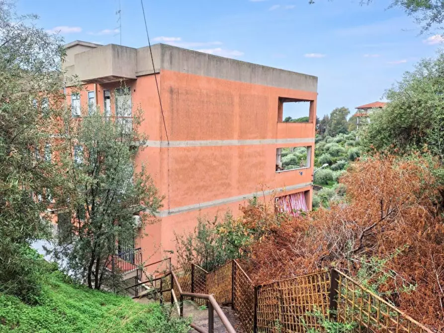 Immagine 6 di Magazzino in vendita  in Via di Pupigliana, N. snc a Pistoia