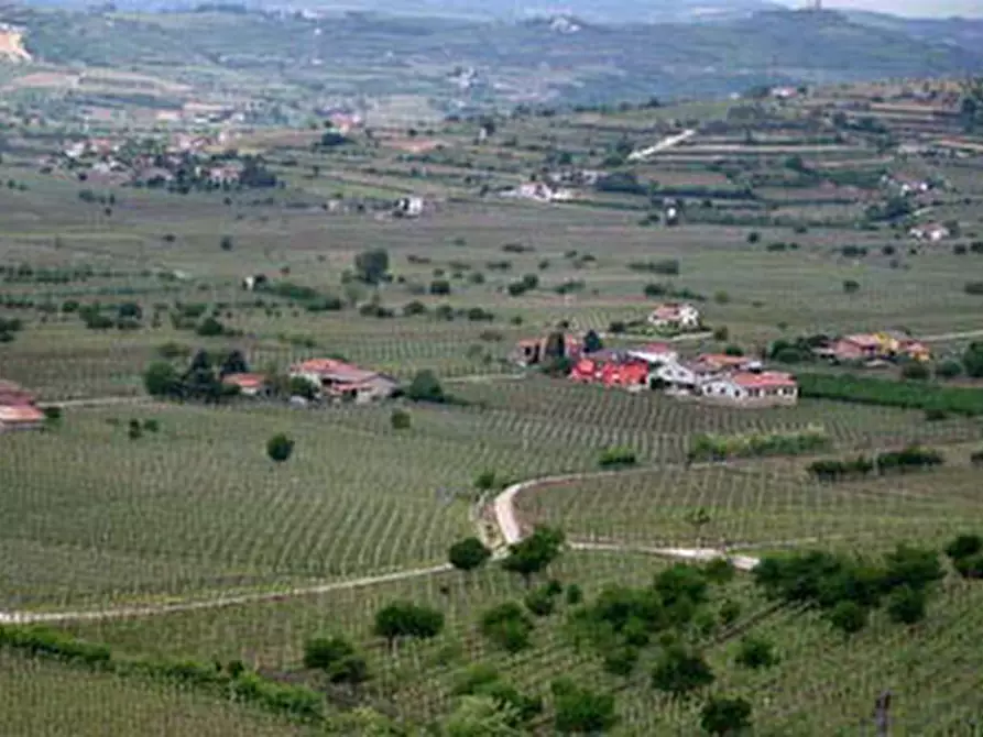 Immagine 1 di Terreno in vendita  a Soave