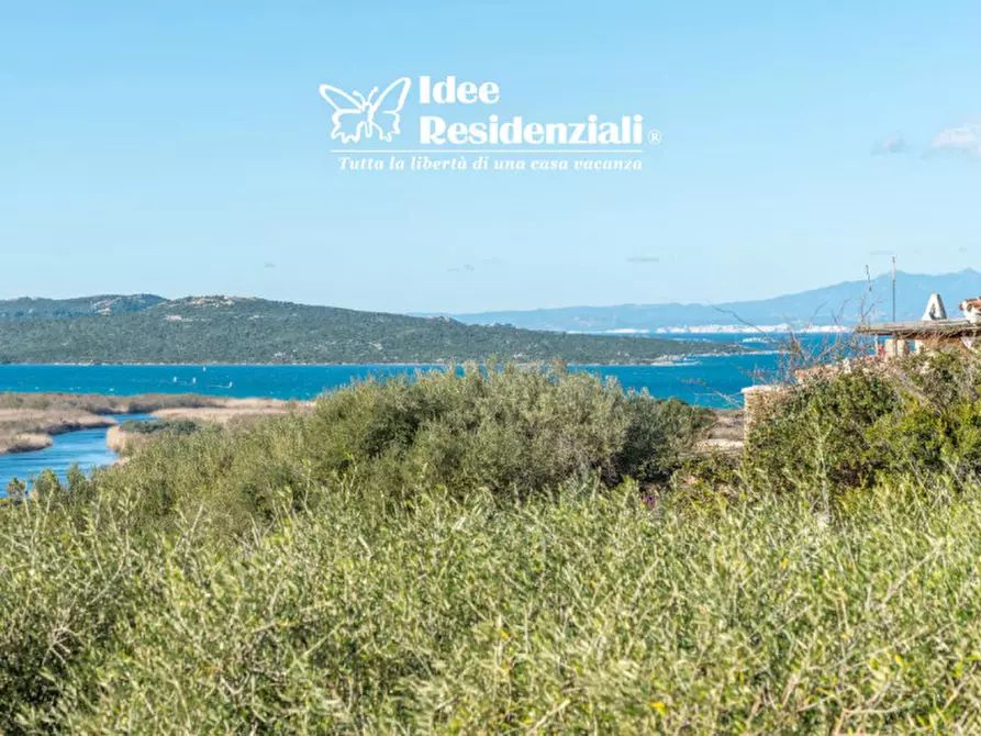 Immagine 7 di Appartamento in affitto  a Palau