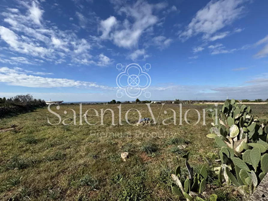 Immagine 3 di Terreno in vendita  in strada vicinale la comune a Parabita