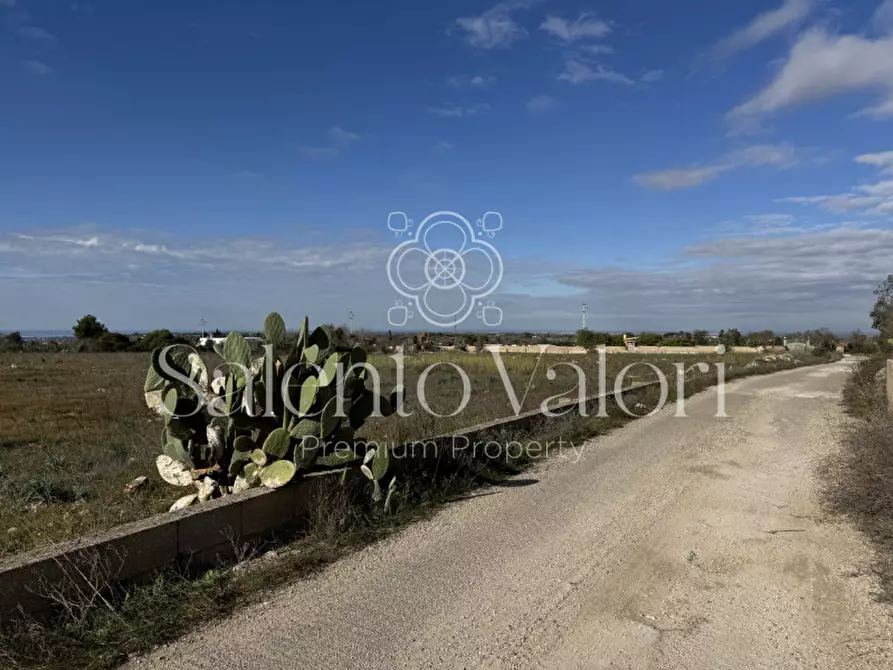 Immagine 4 di Terreno in vendita  in strada vicinale la comune a Parabita