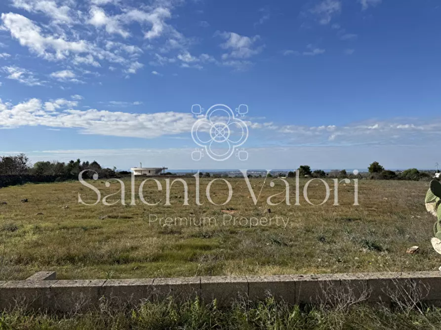 Immagine 5 di Terreno in vendita  in strada vicinale la comune a Parabita