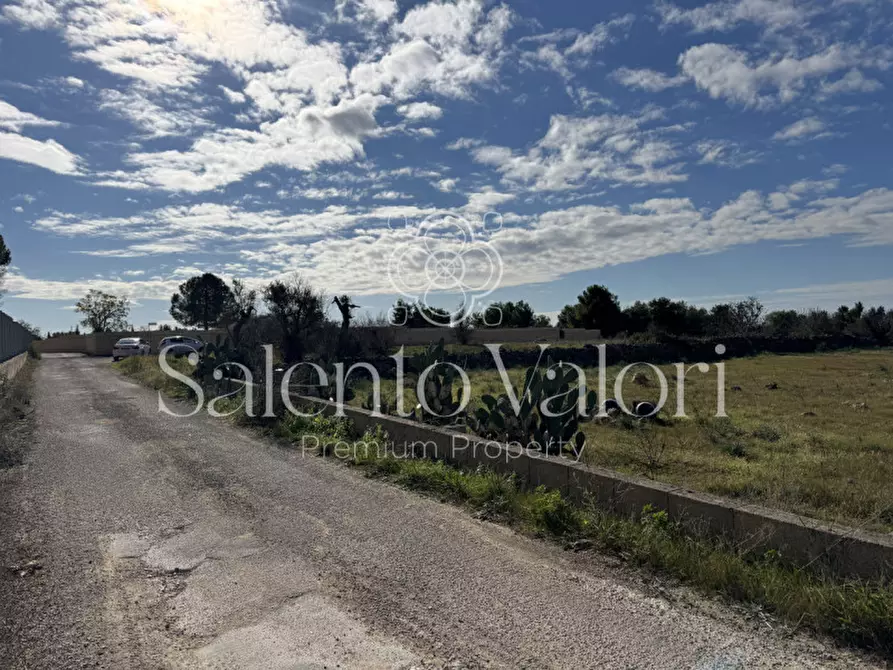 Immagine 6 di Terreno in vendita  in strada vicinale la comune a Parabita