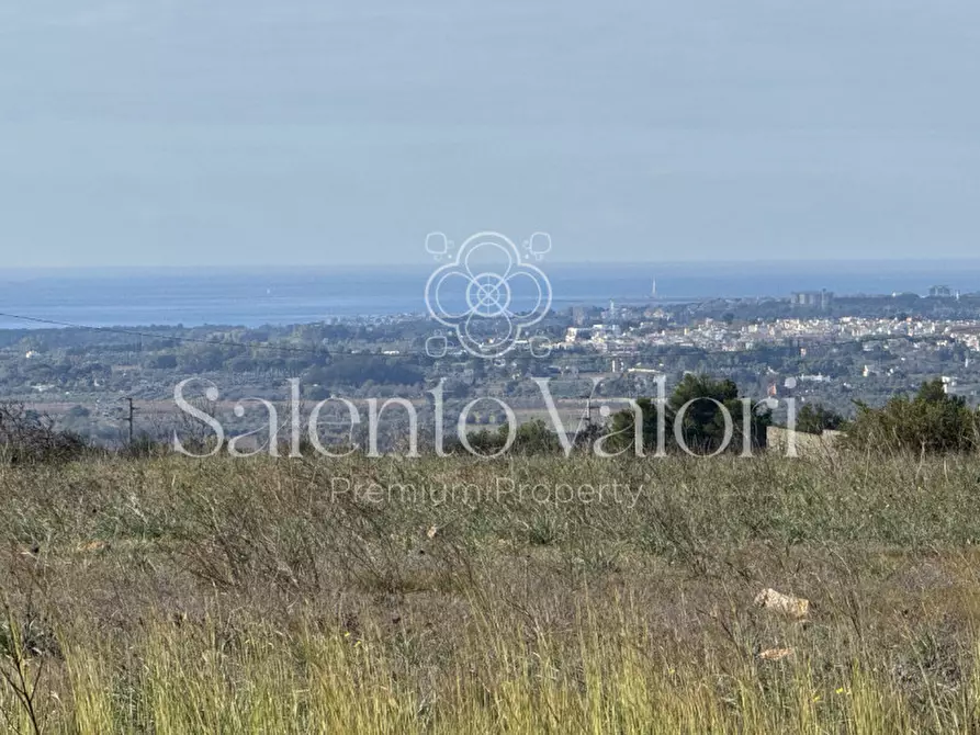 Immagine 7 di Terreno in vendita  in strada vicinale la comune a Parabita