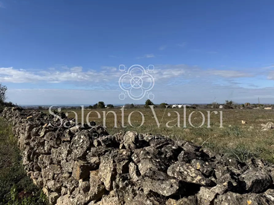 Immagine 8 di Terreno in vendita  in strada vicinale la comune a Parabita