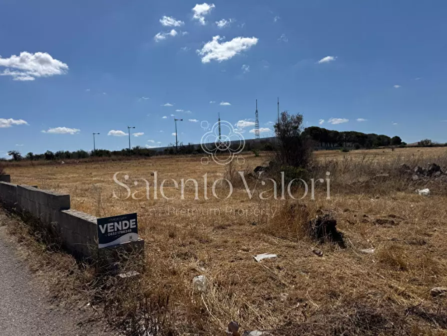 Immagine 11 di Terreno in vendita  in strada vicinale la comune a Parabita
