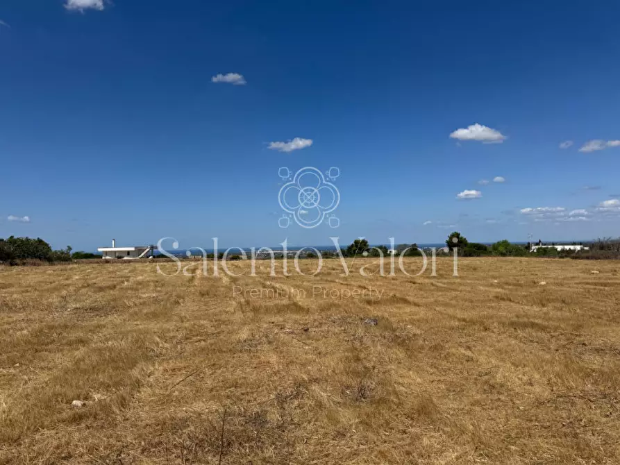 Immagine 12 di Terreno in vendita  in strada vicinale la comune a Parabita