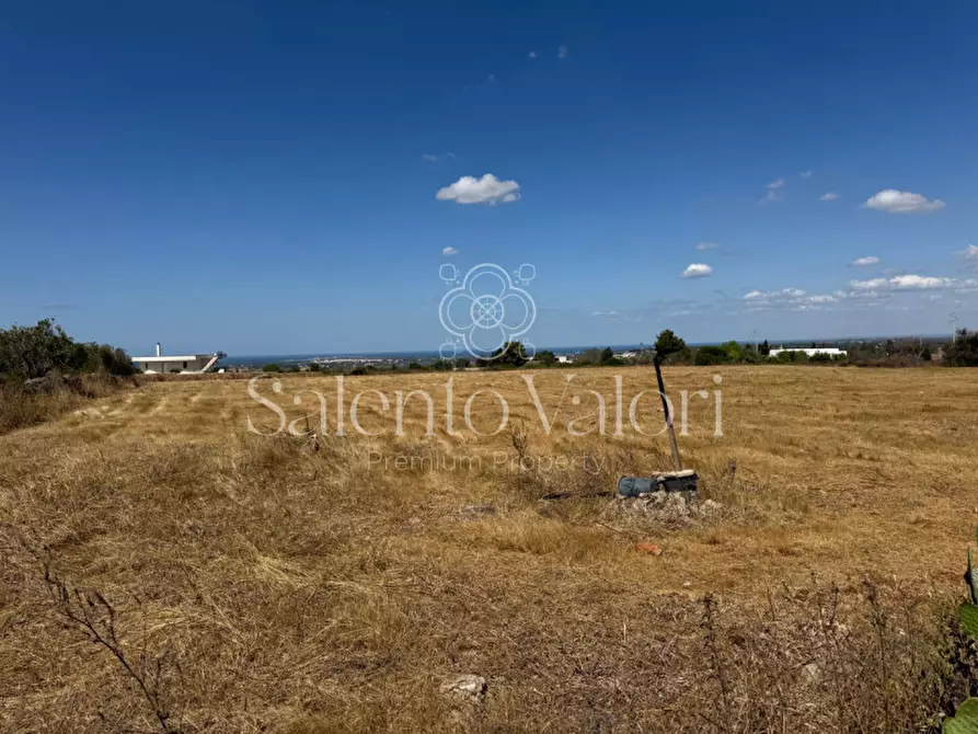 Immagine 13 di Terreno in vendita  in strada vicinale la comune a Parabita