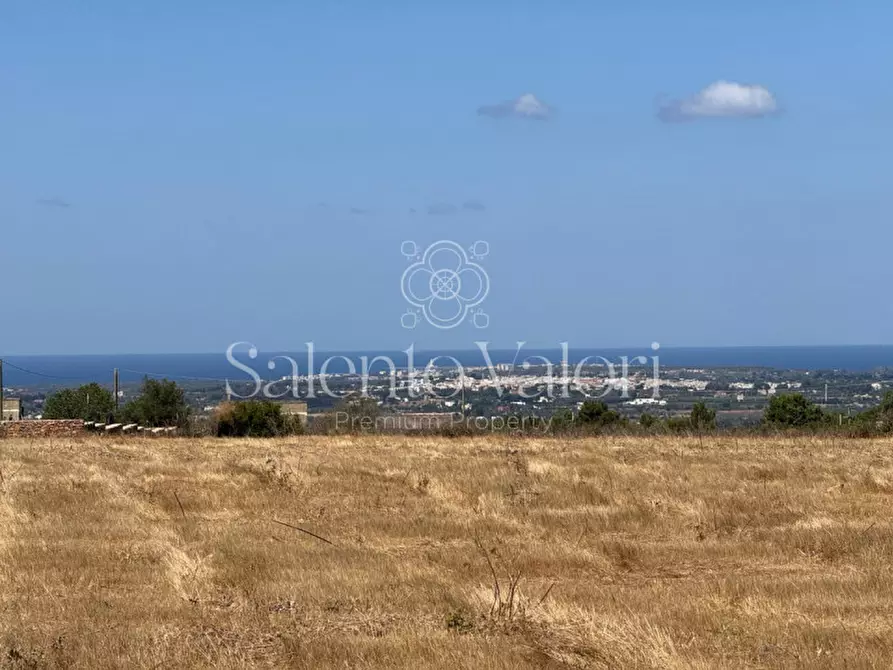 Immagine 14 di Terreno in vendita  in strada vicinale la comune a Parabita