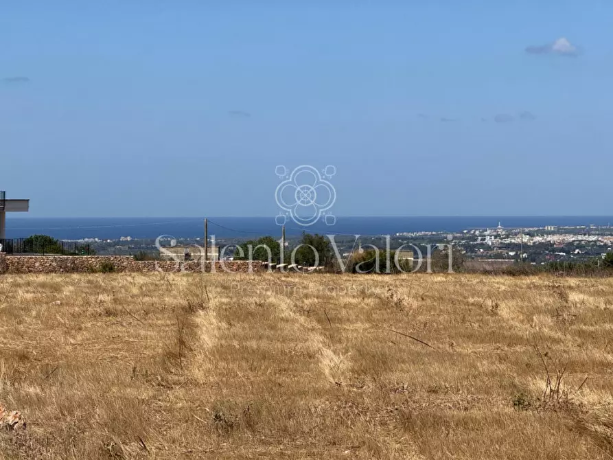 Immagine 15 di Terreno in vendita  in strada vicinale la comune a Parabita