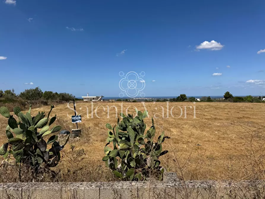 Immagine 16 di Terreno in vendita  in strada vicinale la comune a Parabita