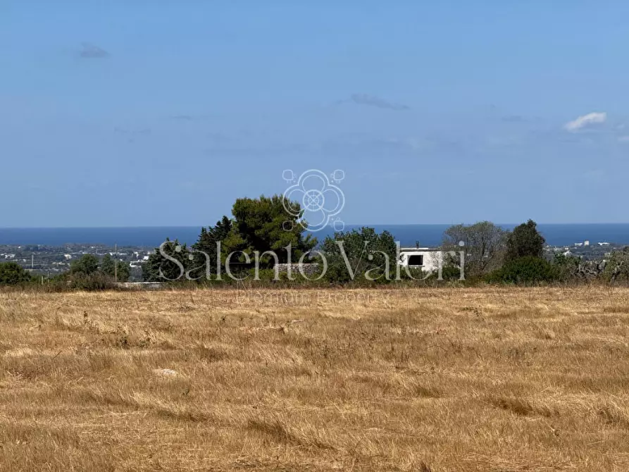 Immagine 17 di Terreno in vendita  in strada vicinale la comune a Parabita