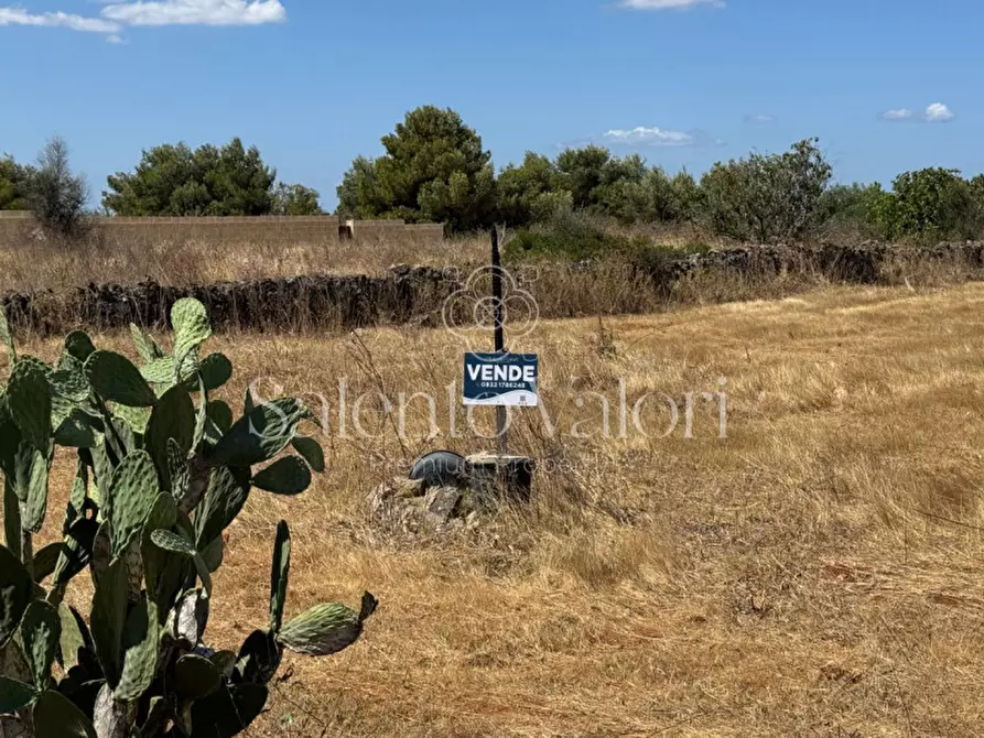 Immagine 18 di Terreno in vendita  in strada vicinale la comune a Parabita
