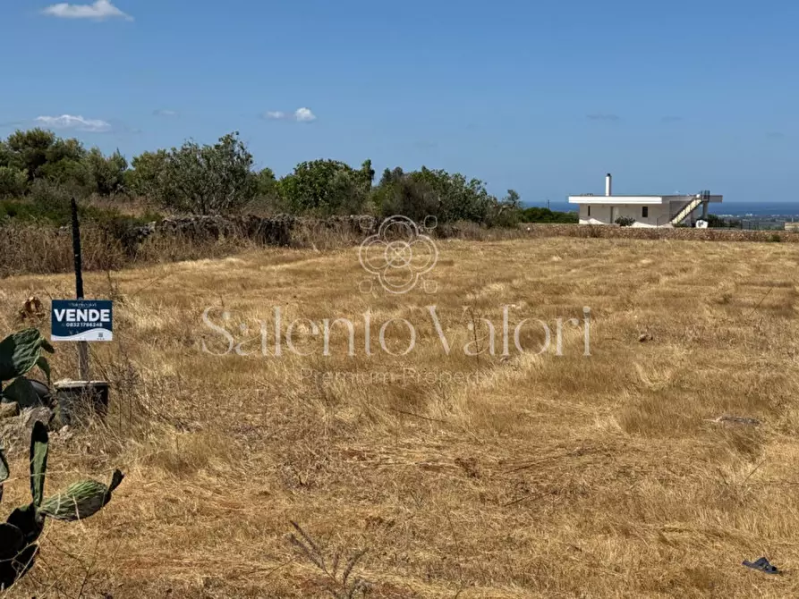 Immagine 19 di Terreno in vendita  in strada vicinale la comune a Parabita