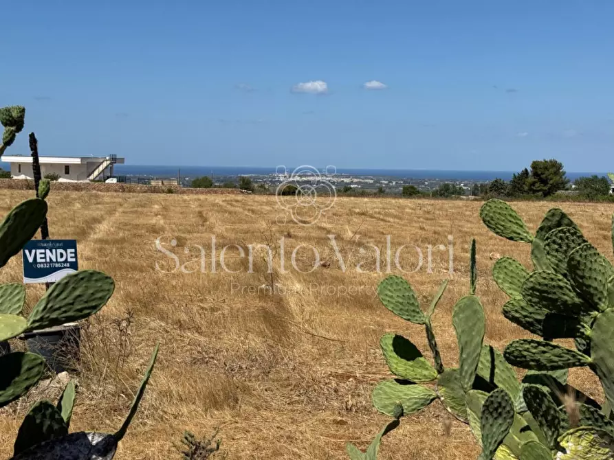 Immagine 20 di Terreno in vendita  in strada vicinale la comune a Parabita
