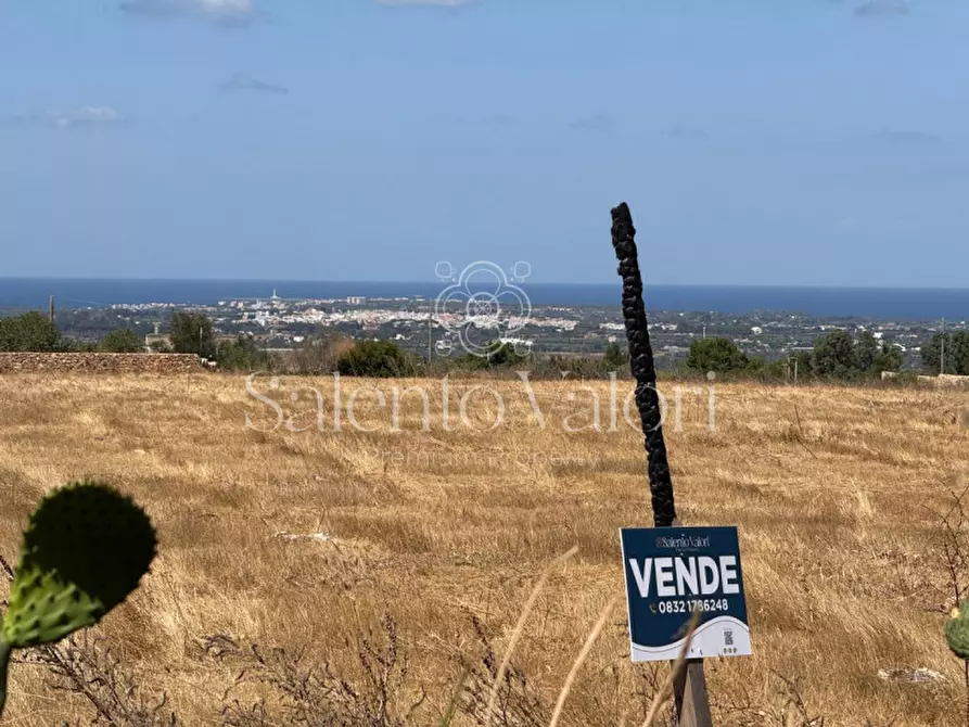 Immagine 21 di Terreno in vendita  in strada vicinale la comune a Parabita