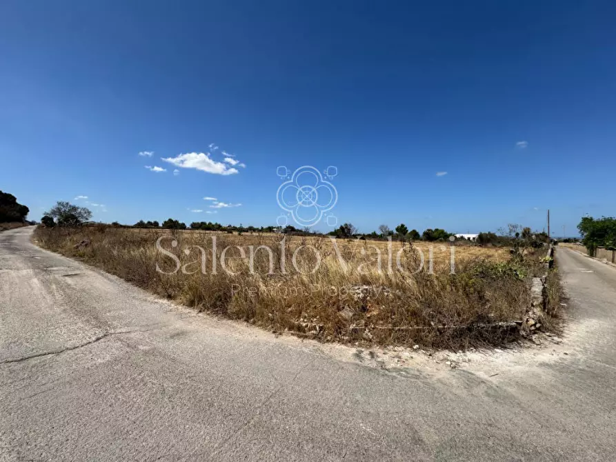 Immagine 24 di Terreno in vendita  in strada vicinale la comune a Parabita