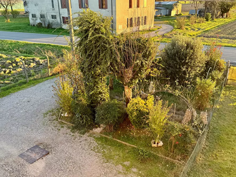 Immagine 4 di Appartamento in vendita  in SP 50 a San Secondo Parmense