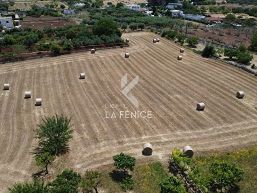 Immagine 3 di Rustico / casale in vendita  in Strada Difesa a Martina Franca