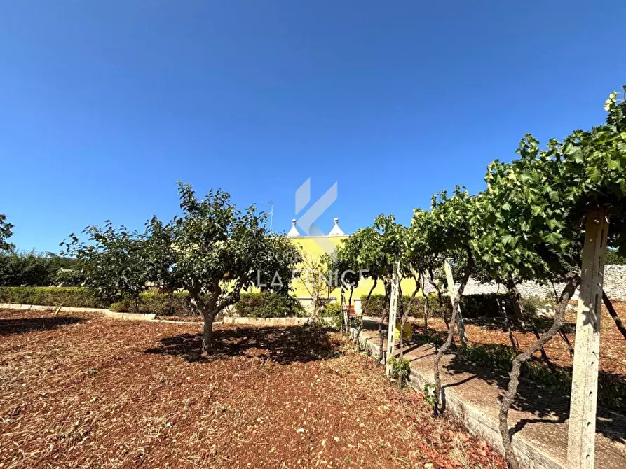 Immagine 6 di Rustico / casale in vendita  in Strada Difesa a Martina Franca
