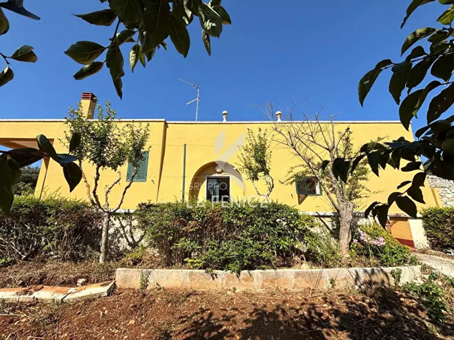 Immagine 8 di Rustico / casale in vendita  in Strada Difesa a Martina Franca