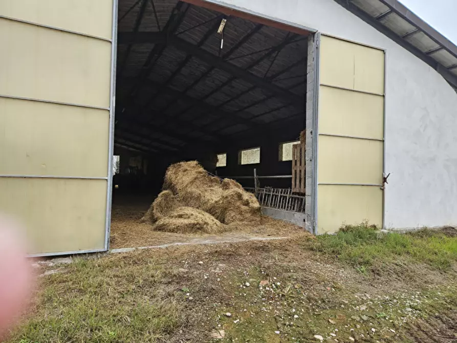 Immagine 2 di Terreno in vendita  in Via C. B Cavour n. 79 Este a Padova