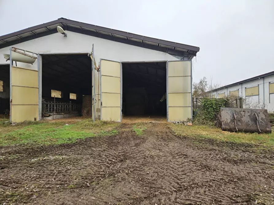 Immagine 3 di Terreno in vendita  in Via C. B Cavour n. 79 Este a Padova