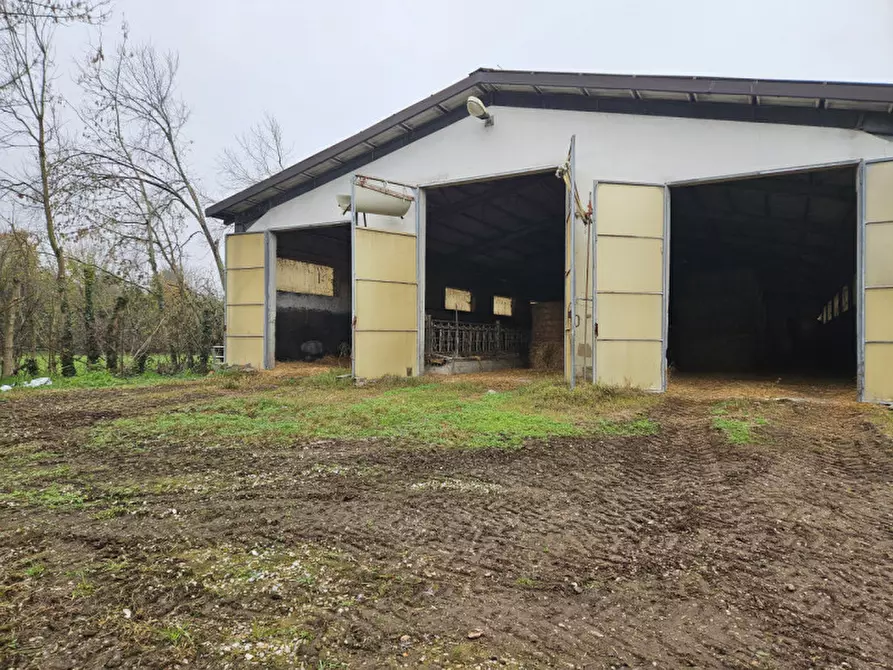 Immagine 4 di Terreno in vendita  in Via C. B Cavour n. 79 Este a Padova