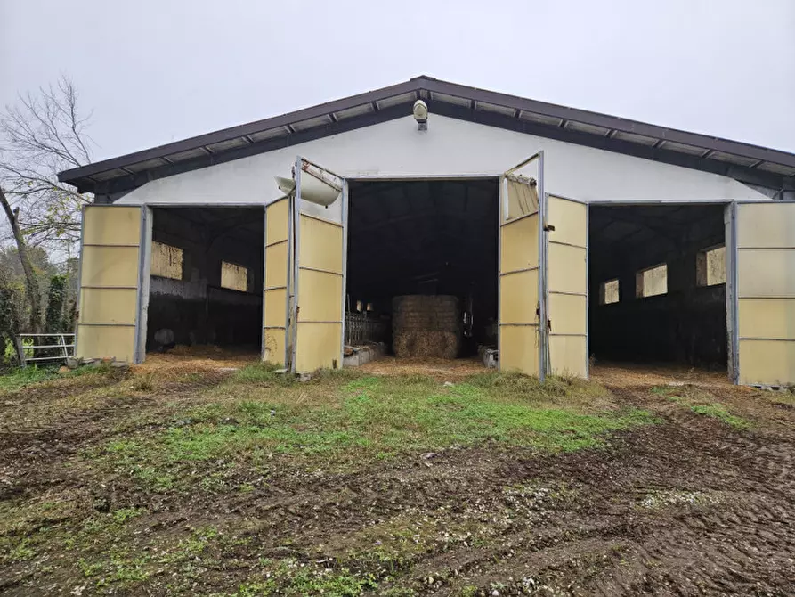 Immagine 5 di Terreno in vendita  in Via C. B Cavour n. 79 Este a Padova