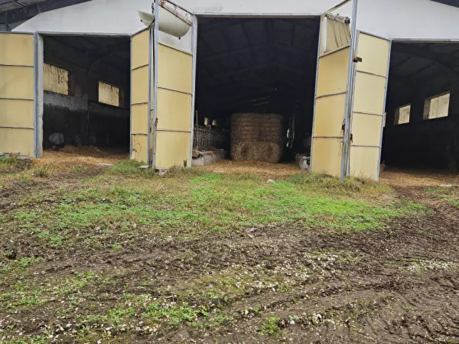 Immagine 6 di Terreno in vendita  in Via C. B Cavour n. 79 Este a Padova