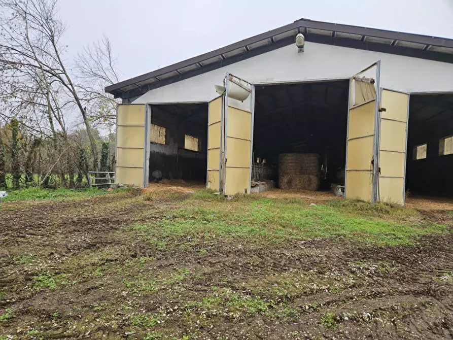 Immagine 7 di Terreno in vendita  in Via C. B Cavour n. 79 Este a Padova