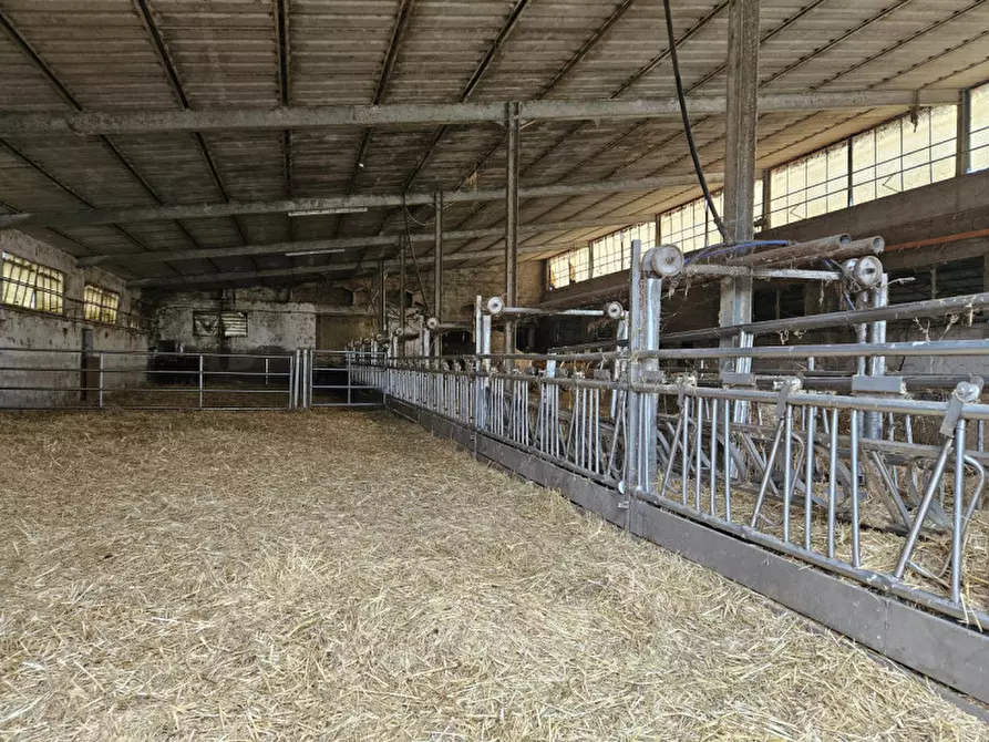 Immagine 10 di Terreno in vendita  in Via C. B Cavour n. 79 Este a Padova