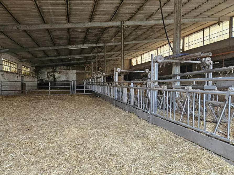 Immagine 11 di Terreno in vendita  in Via C. B Cavour n. 79 Este a Padova