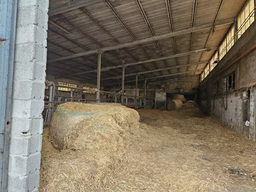 Immagine 12 di Terreno in vendita  in Via C. B Cavour n. 79 Este a Padova