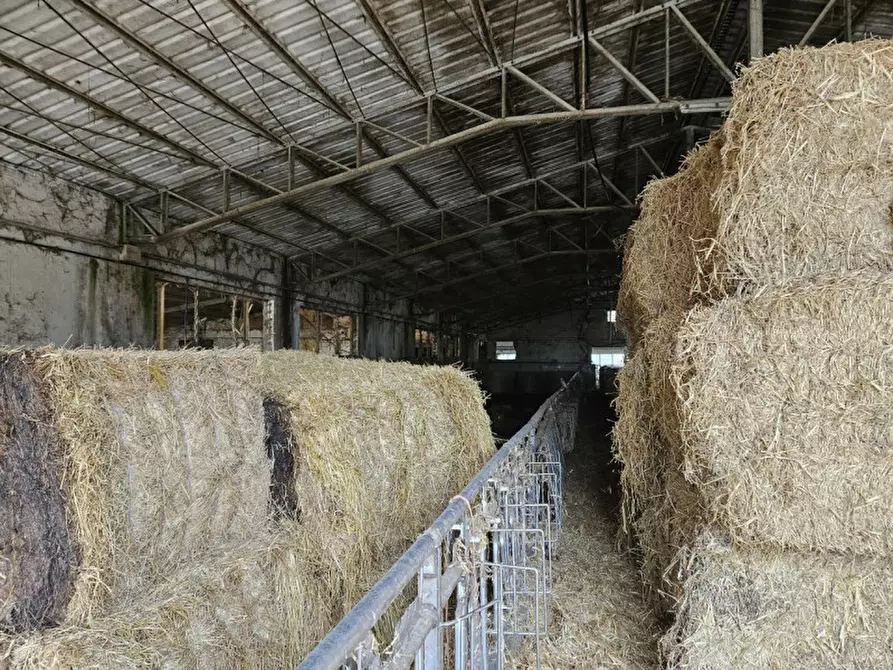 Immagine 13 di Terreno in vendita  in Via C. B Cavour n. 79 Este a Padova