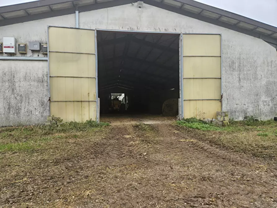 Immagine 15 di Terreno in vendita  in Via C. B Cavour n. 79 Este a Padova