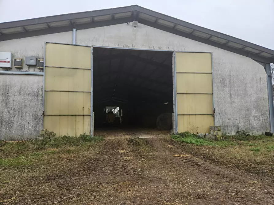 Immagine 16 di Terreno in vendita  in Via C. B Cavour n. 79 Este a Padova