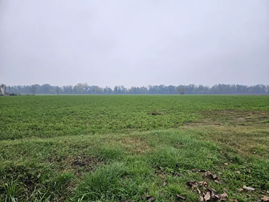 Immagine 19 di Terreno in vendita  in Via C. B Cavour n. 79 Este a Padova