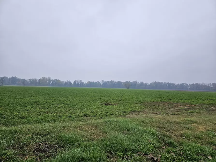 Immagine 20 di Terreno in vendita  in Via C. B Cavour n. 79 Este a Padova